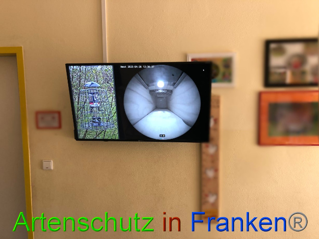 © Artenschutz in Franken® Bild zum Eintrag (1085290-160)