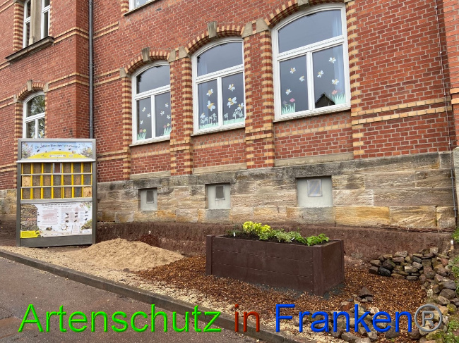 © Artenschutz in Franken® Bild zum Eintrag (1085298-160)