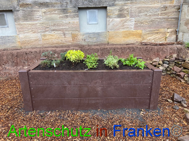 © Artenschutz in Franken® Bild zum Eintrag (1085299-160)