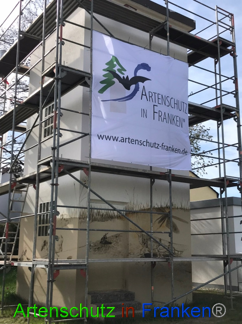 © Artenschutz in Franken® Bild zum Eintrag (1085553-160)