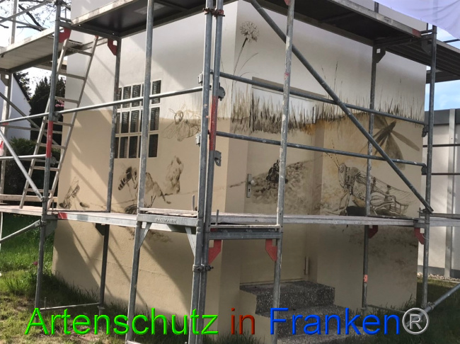© Artenschutz in Franken® Bild zum Eintrag (1085554-160)