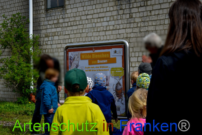© Artenschutz in Franken® Bild zum Eintrag (1085650-160)