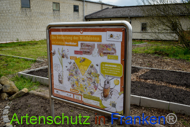 Bild zum Eintrag (1085654-160)