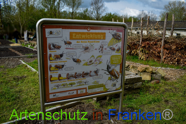 Bild zum Eintrag (1085655-160)