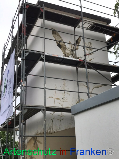 © Artenschutz in Franken® Bild zum Eintrag (1085813-160)