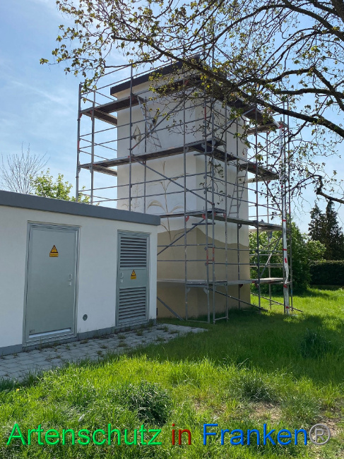 © Artenschutz in Franken® / Wölfel Bild zum Eintrag (1085817-160)