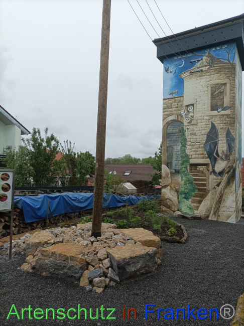 © Artenschutz in Franken® Bild zum Eintrag (1086022-160)