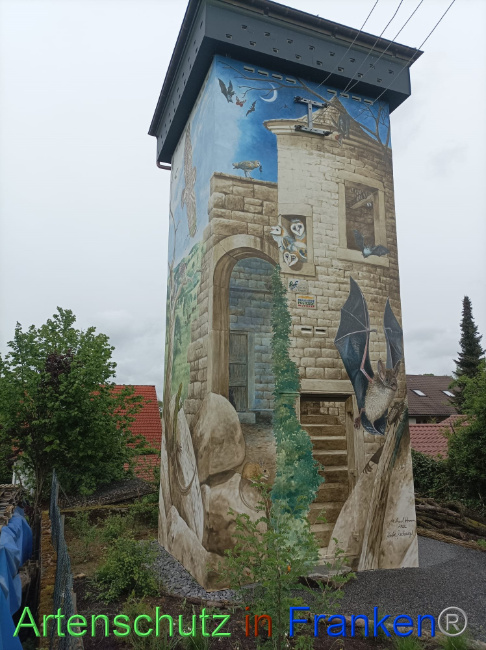© Artenschutz in Franken® Bild zum Eintrag (1086030-160)