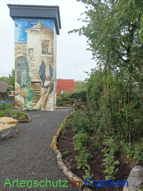 © Artenschutz in Franken® Bild zum Eintrag (1086039-160)