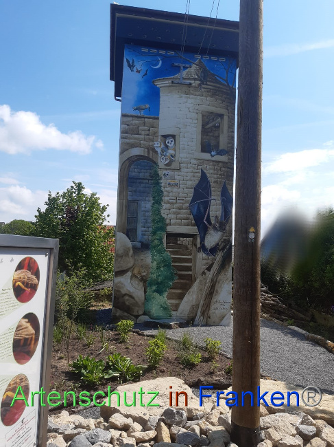 © Artenschutz in Franken® Bild zum Eintrag (1086047-160)