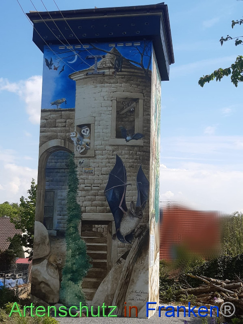© Artenschutz in Franken® Bild zum Eintrag (1086052-160)
