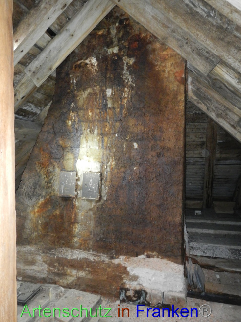 © Artenschutz in Franken® Bild zum Eintrag (1086168-160)