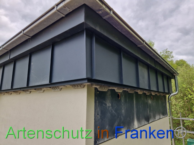 © Artenschutz in Franken® Bild zum Eintrag (1086336-160)