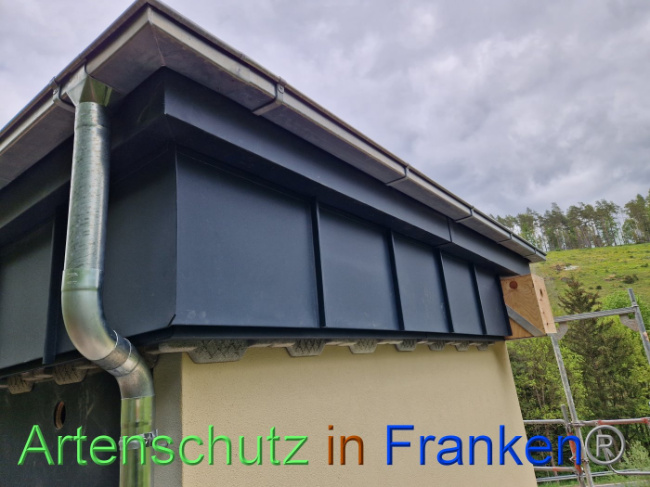 © Artenschutz in Franken® Bild zum Eintrag (1086337-160)