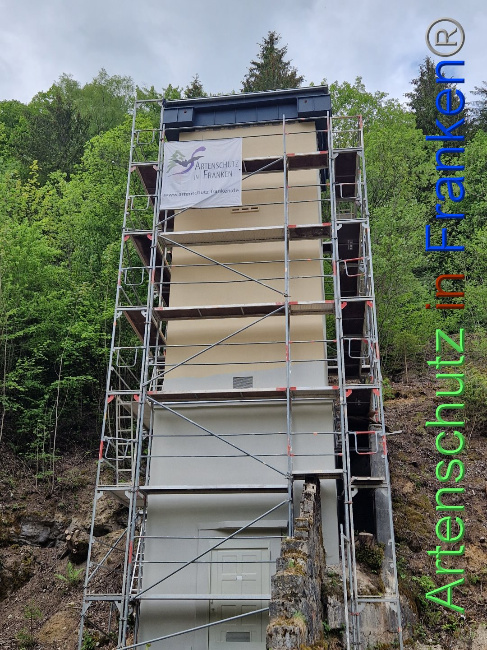 © Artenschutz in Franken® Bild zum Eintrag (1086537-160)
