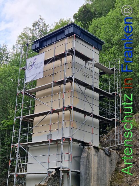 © Artenschutz in Franken® Bild zum Eintrag (1086540-160)