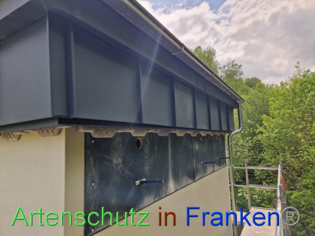 © Artenschutz in Franken® Bild zum Eintrag (1086550-160)