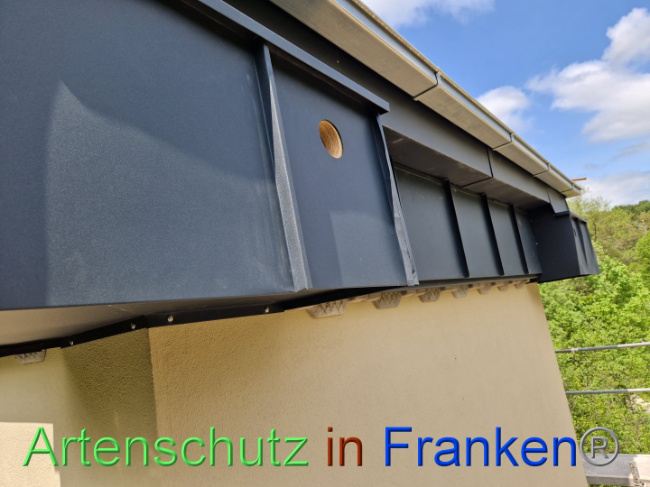 © Artenschutz in Franken® Bild zum Eintrag (1086551-160)