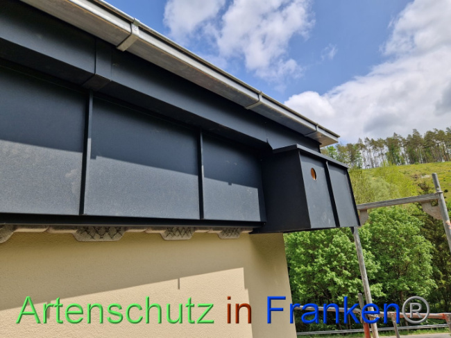 © Artenschutz in Franken® Bild zum Eintrag (1086552-160)