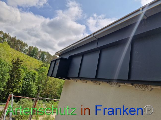 © Artenschutz in Franken® Bild zum Eintrag (1086553-160)