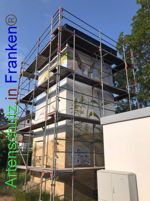 © Artenschutz in Franken® Bild zum Eintrag (1087189-160)