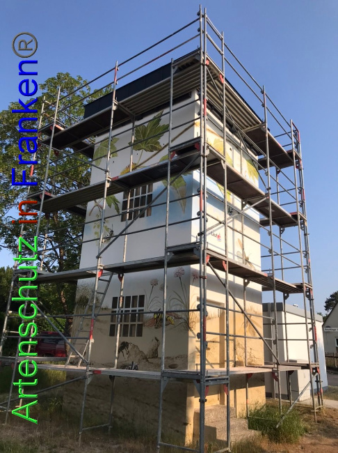 © Artenschutz in Franken® Bild zum Eintrag (1087192-160)