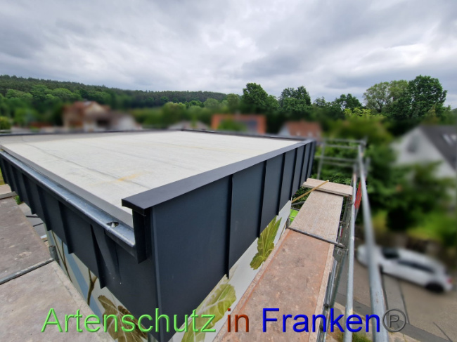 © Artenschutz in Franken® Bild zum Eintrag (1087198-160)