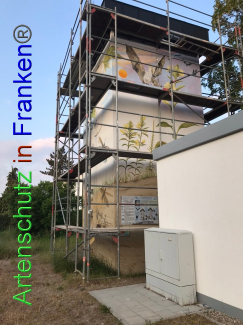 © Artenschutz in Franken® Bild zum Eintrag (1087212-160)