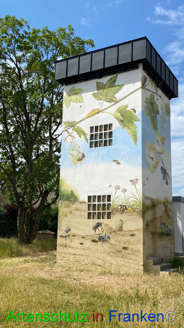 © Artenschutz in Franken® Bild zum Eintrag (1087679-160)
