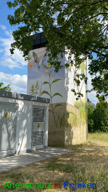 © Artenschutz in Franken® Bild zum Eintrag (1087685-160)