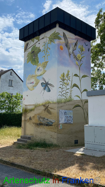© Artenschutz in Franken® Bild zum Eintrag (1087686-160)