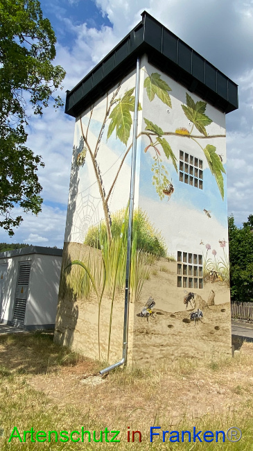 © Artenschutz in Franken® Bild zum Eintrag (1087687-160)