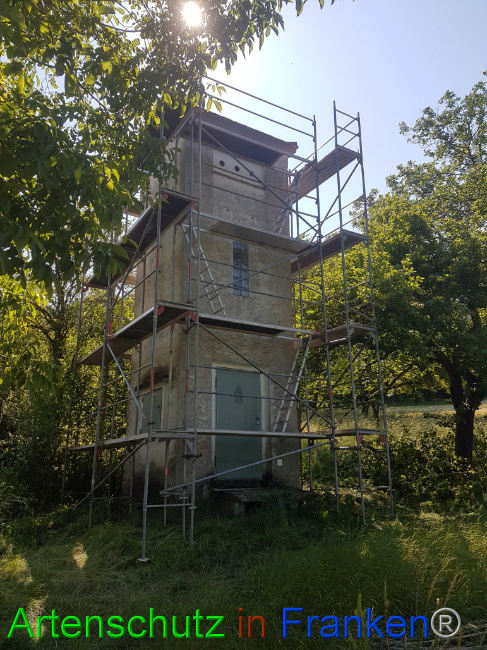 © Artenschutz in Franken® Bild zum Eintrag (1087746-160)