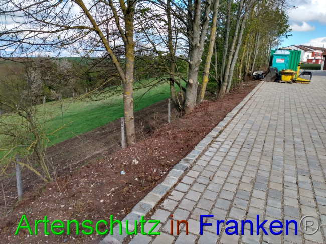 © Artenschutz in Franken® Bild zum Eintrag (1087751-160)