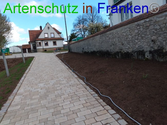 © Artenschutz in Franken® Bild zum Eintrag (1087752-160)