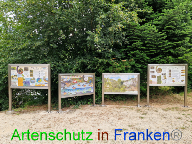 Bild zum Eintrag (1087762-160)