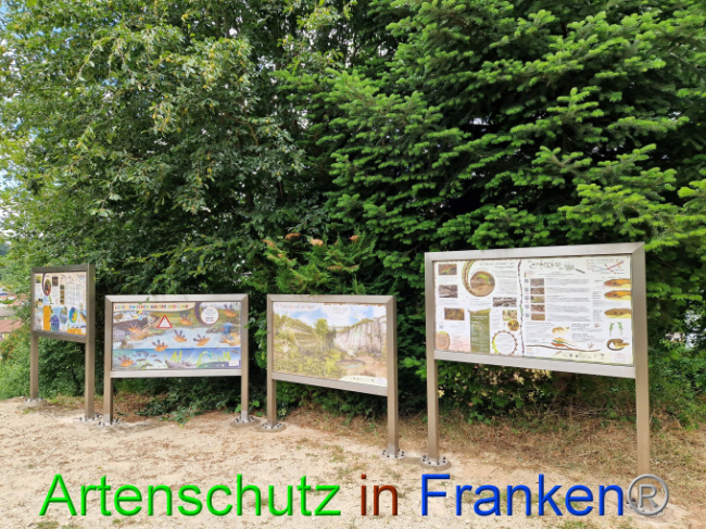 Bild zum Eintrag (1087763-160)