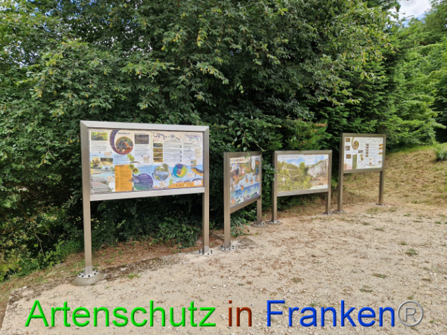 Bild zum Eintrag (1087764-160)