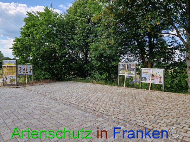 © Artenschutz in Franken® Bild zum Eintrag (1087774-160)