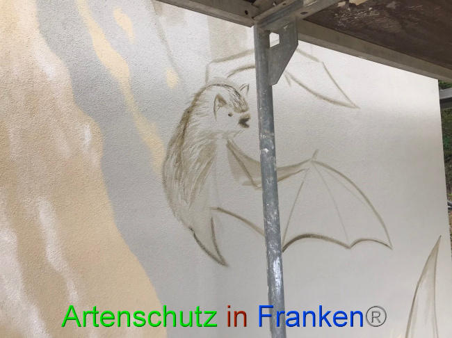 © Artenschutz in Franken® Bild zum Eintrag (1087820-160)