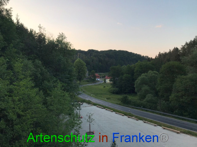 Bild zum Eintrag (1087827-160)