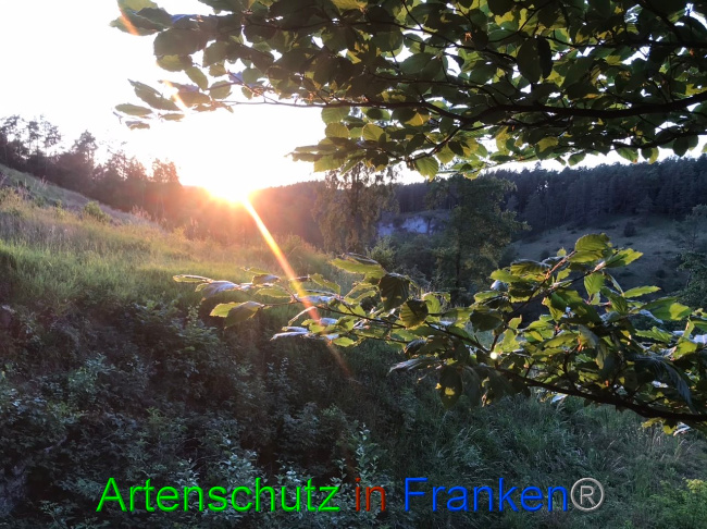 Bild zum Eintrag (1087828-160)