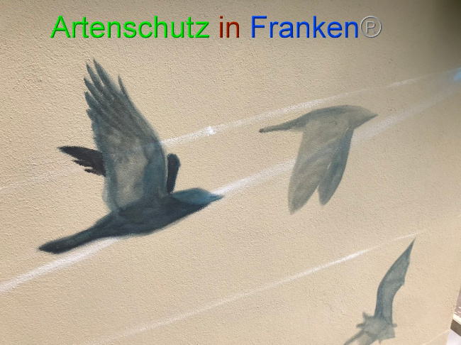 © Artenschutz in Franken® Bild zum Eintrag (1087831-160)