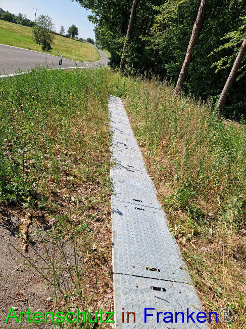 © Artenschutz in Franken® Bild zum Eintrag (1087928-160)