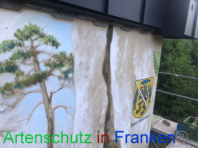 © Artenschutz in Franken® Bild zum Eintrag (1088092-160)