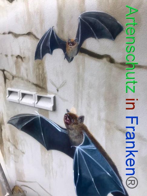 © Artenschutz in Franken® Bild zum Eintrag (1088093-160)