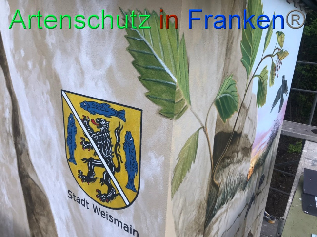 © Artenschutz in Franken® Bild zum Eintrag (1088095-160)