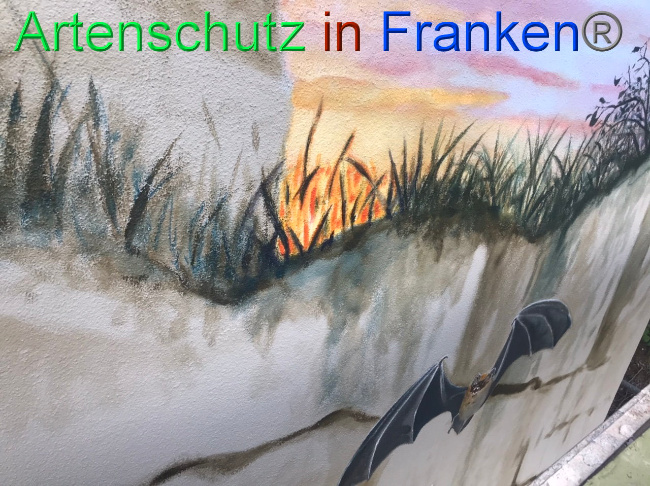 © Artenschutz in Franken® Bild zum Eintrag (1088096-160)