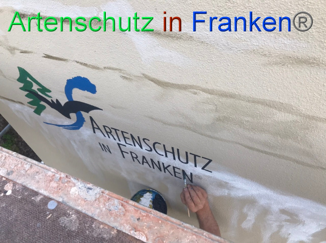 © Artenschutz in Franken® Bild zum Eintrag (1088098-160)