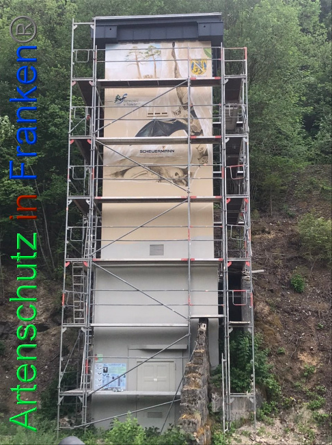 © Artenschutz in Franken® Bild zum Eintrag (1088102-160)